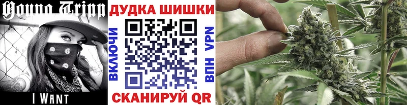 Где найти наркотики Воркута blacksprut tor  Бошки Шишки  Мефедрон  NBOMe  ГАШ  СК 