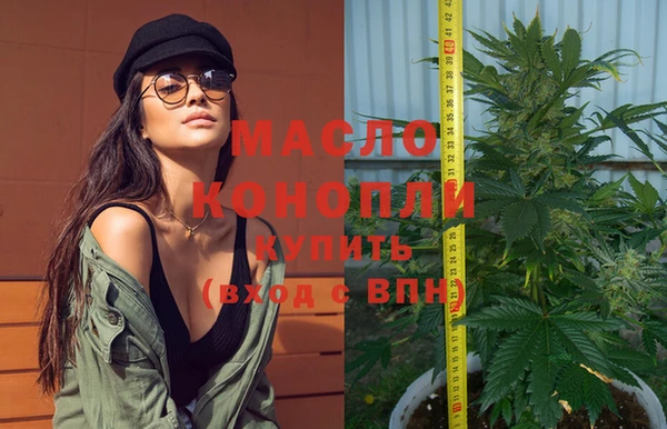 мдпв Горняк