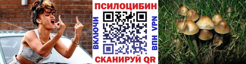 Галлюциногенные грибы Psilocybine cubensis  Воркута 